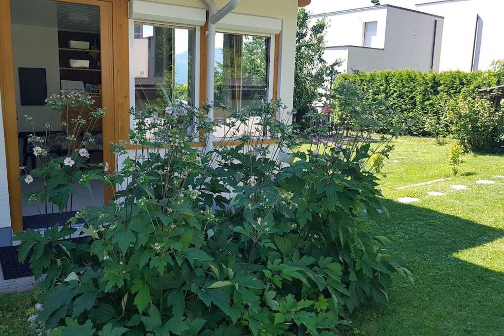 Wohnung Mit Balkon In Velden - Appartment Berge Bytilly Velden am Wörthersee Kültér fotó